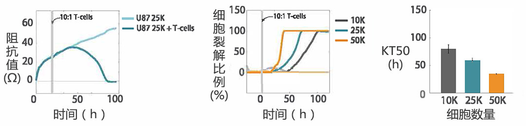 Axion Biosystems MAESTRO Z(sh)r(sh)o(w)(bio)ӛ(x)x