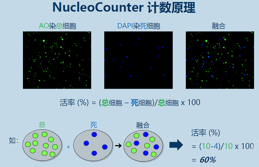 Chemometec NucleoCounter細胞計數(shù)儀