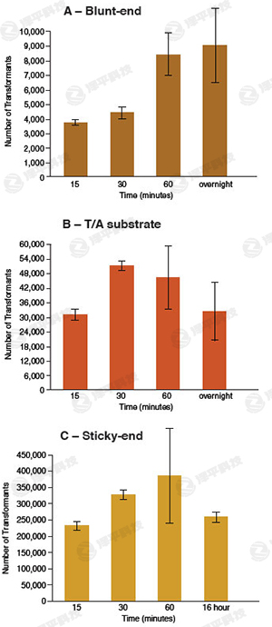 NBED(zhun)BøElectroLigase؛̖M0369 ̱ƽ
