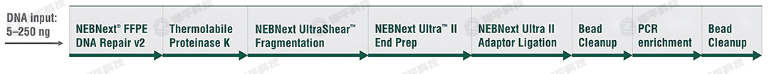 NEBNext UltraShear FFPE DNA ĎƂԇкƬλø̴̱ƽ