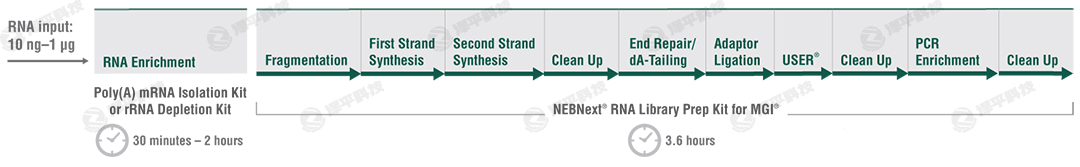 NEBNext RNA ĎƂԇЌ̴̱ƽ