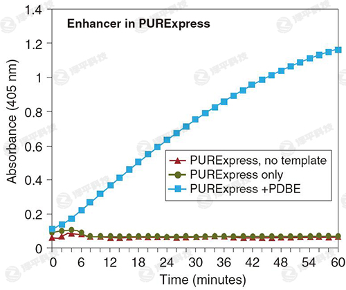 NEB PURExpress二硫鍵增強(qiáng)劑(PDBE)促進(jìn)活性vtPA的正確折疊 代理商北京澤平