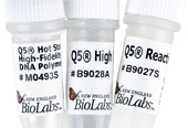 NEB PCR,LAMPDNAۺø,ᆢ(dng)Taq,Q5߱ۺø,BstۺøƬ,Bst 2.0,Vent,phi29